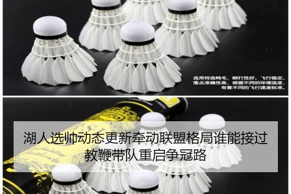湖人选帅动态更新牵动联盟格局谁能接过教鞭带队重启争冠路